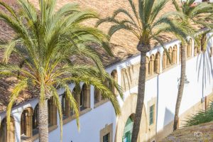 Javea
