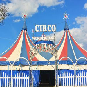 Circus Wonderland Back in Moraira