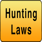 hunting-laws