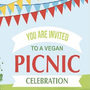 Vegan Picnic In Denia