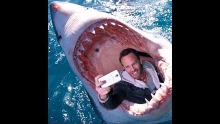 Beautiful But Dangerous Selfies!