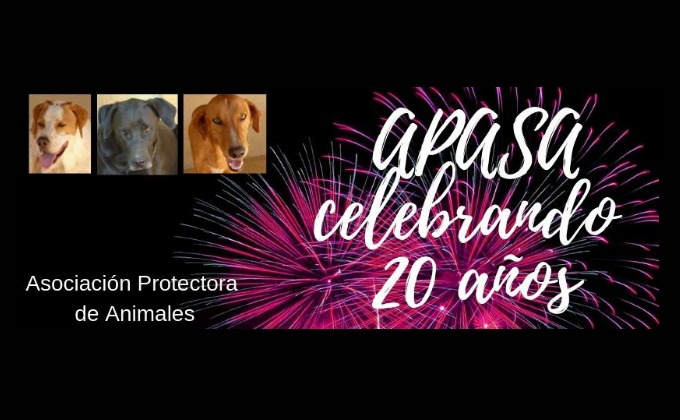 Happy 20th “Whelpday” APASA!