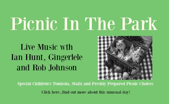 Join The Picnic Party In the Park