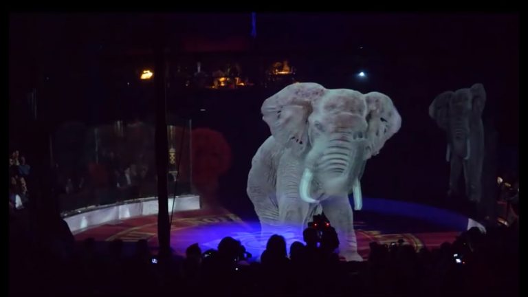 German Circus Uses Magnificent Hologram Light Show in Response to Mistreatment of Performing Animals