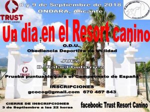 Rastro Market at Trust Resort @ Trust Resort | Ondara | Comunidad Valenciana | Spain