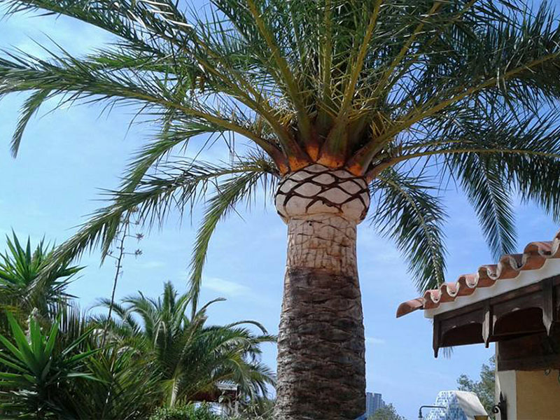 Jardineria Edengarden Jardineria Edengarden