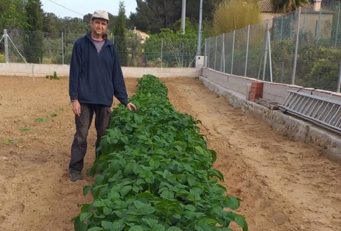 Georgie’s Blog. 	 Spuds, Cúdols And A “Veganised” Recipe From Ávila