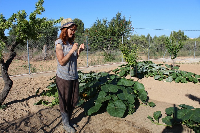 The Good Life Blog. 2 Fruit Trees And Some Magnetic Fields