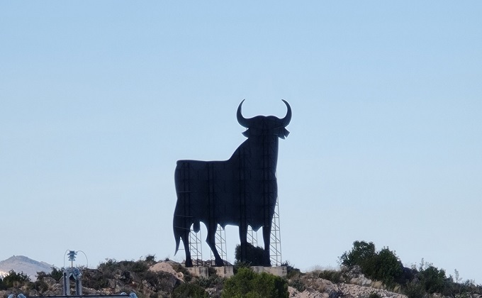 The history of the Osborne Bull