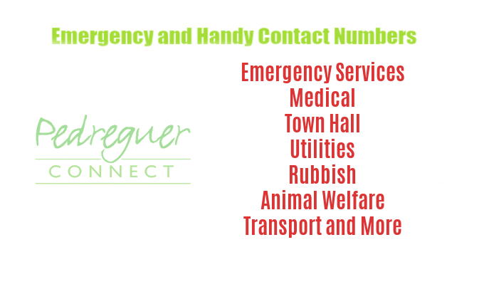 Pedreguer Handy Contact Information