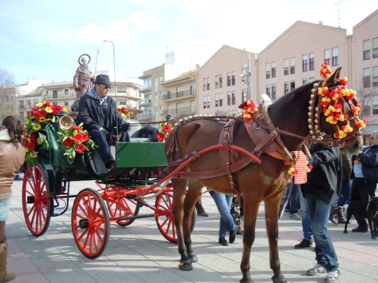 The Blessing of the Animals – San Antoni Fiestas