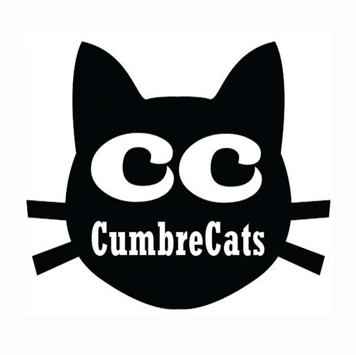 Cumbre Cats